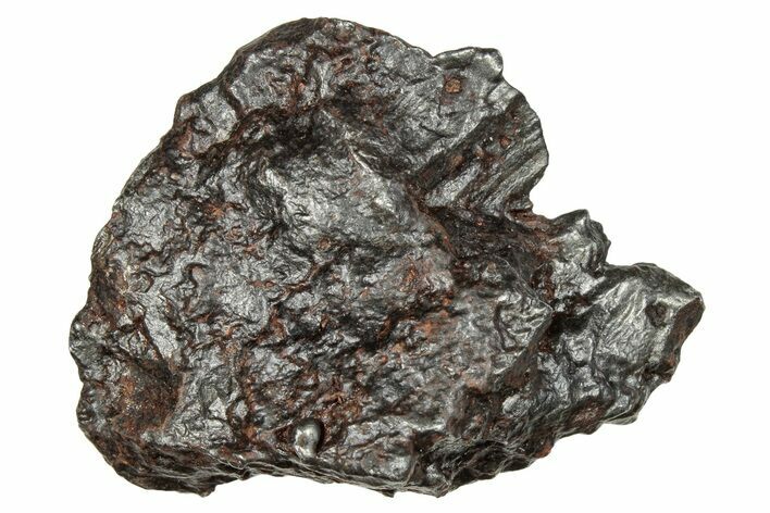 Sikhote-Alin Iron Meteorite Shrapnel ( g) - Russia #246951